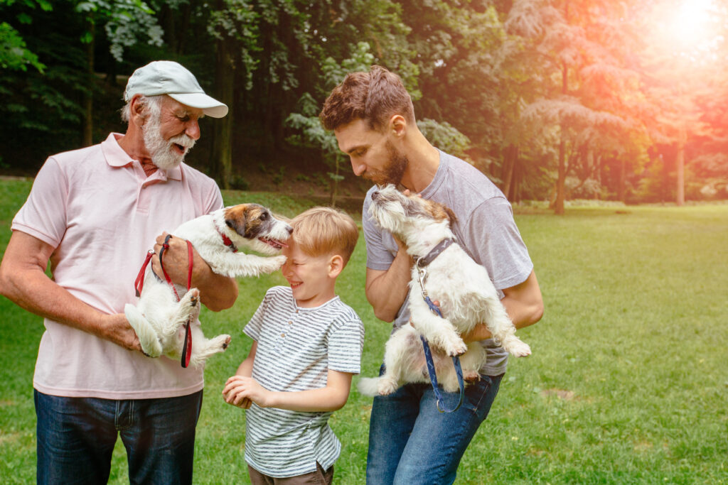 Multigenerational family walking with dog. Dad, granddad holds Jack russel terrier, their son having fun, laughing, kissing, walking together in green meadow on park outdoor.